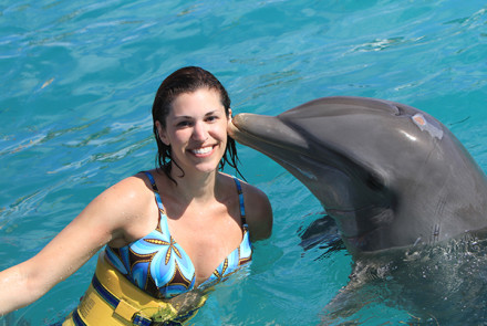 Dunn's River Falls & Dolphin Encounter | Book Jamaica Excursions | bookjamaicaexcursions.com | Karandas Tours