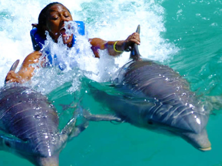 Dunn's River Falls & Dolphin Encounter Program Falmouth | Book Jamaica Excursions | bookjamaicaexcursions.com | Karandas Tours