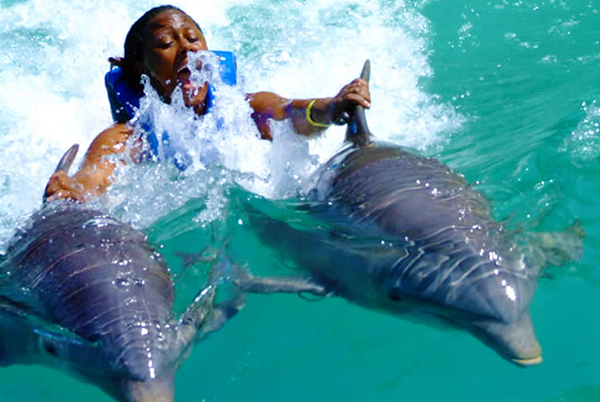 Dunn's River Falls & Dolphin Encounter Program Falmouth | Book Jamaica Excursions | bookjamaicaexcursions.com | Karandas Tours
