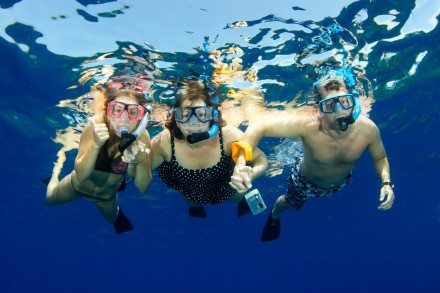 Snorkeling Adventure | Book Jamaica Excursions | bookjamaicaexcursions.com | Karandas Tours