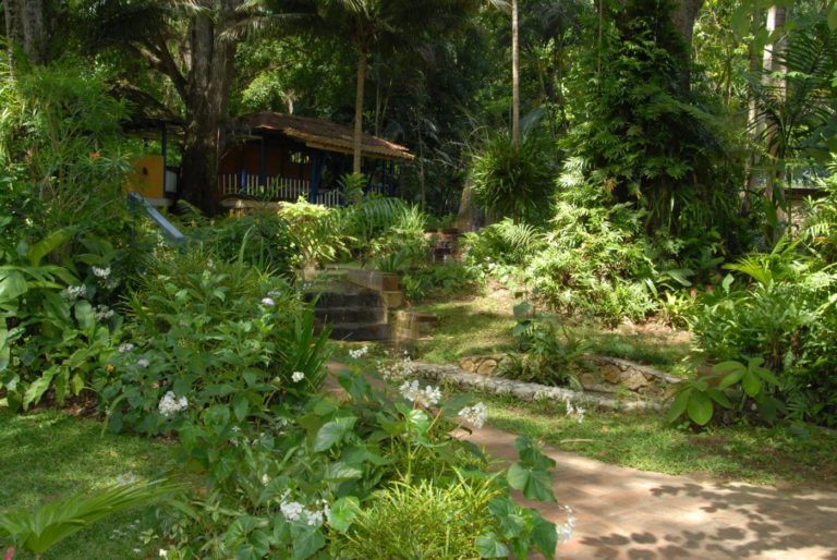 coyaba-gardens-and-dunns-river-falls-ocho-rios-jamaica-3