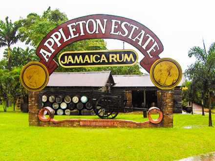 Appleton Estate Jamaica | Book Jamaica Excursions | bookjamaicaexcursions.com | Karandas Tours