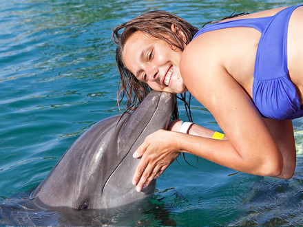 Dolphin Encounter Program | Book Jamaica Excursions | bookjamaicaexcursions.com | Karandas Tours