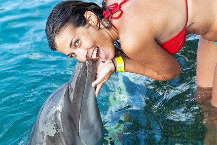 Dolphin Encounter Program | Book Jamaica Excursions | bookjamaicaexcursions.com | Karandas Tours
