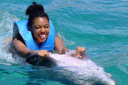 Dolphin Swim Adventure Program | Book Jamaica Excursions | bookjamaicaexcursions.com | Karandas Tours