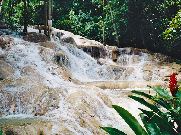 Dunn's River Falls from Grand Palladium | Book Jamaica Excursions | bookjamaicaexcursions.com | Karandas Tours