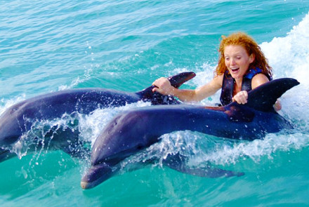 Dolphin Encounter Program from Negril | Book Jamaica Excursions | bookjamaicaexcursions.com | Karandas Tours