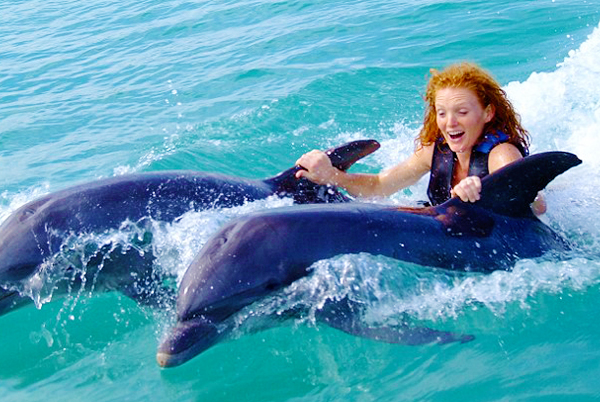 Dolphin Encounter Program from Negril