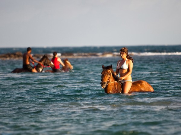 Beach Horseback Ride & Swim Adventure| Book Jamaica Excursions | bookjamaicaexcursions.com | Karandas Tours