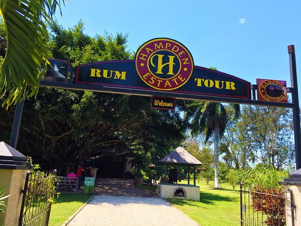 hampden rum tour
