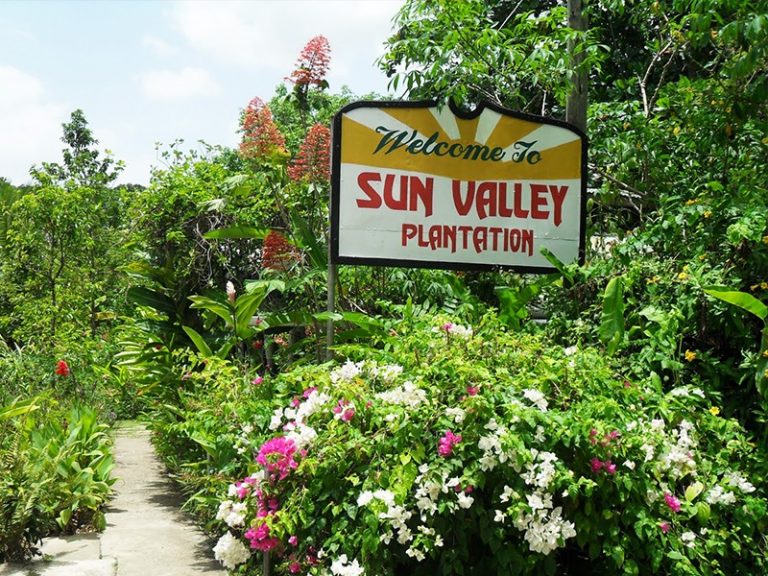 Sun Valley Plantation Tour